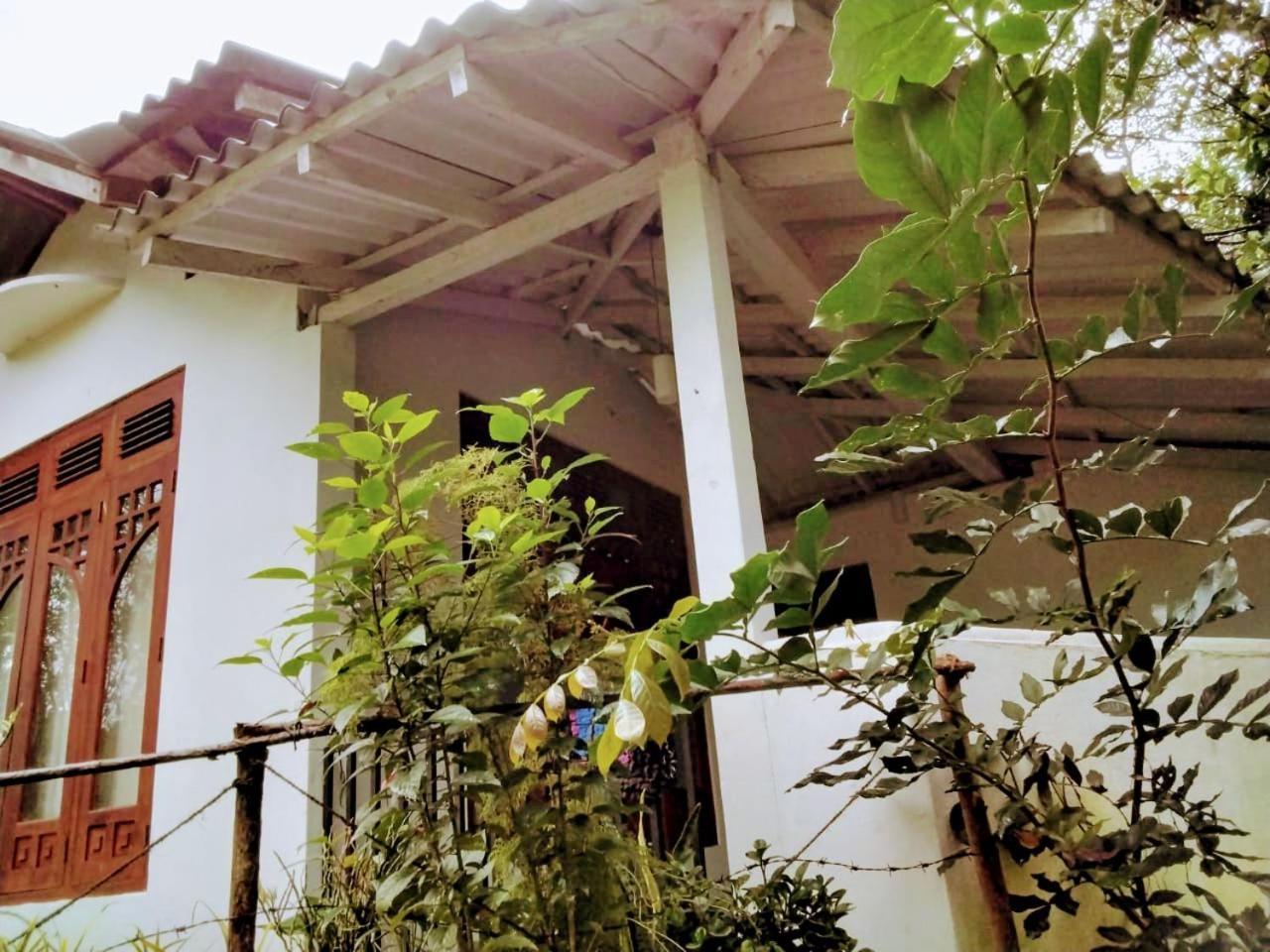 Ella Mount Villa Экстерьер фото